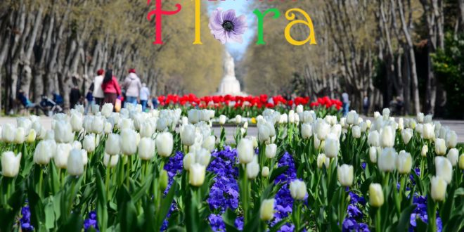 фестивал цветя Варна